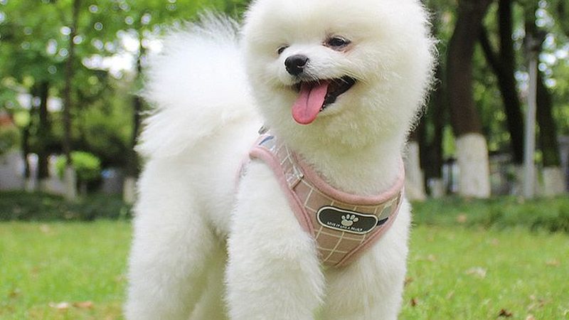 冷库安装公司售后服务